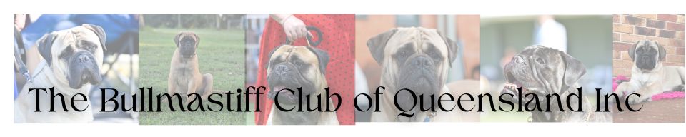 Bullmastiff Club of Queensland Inc